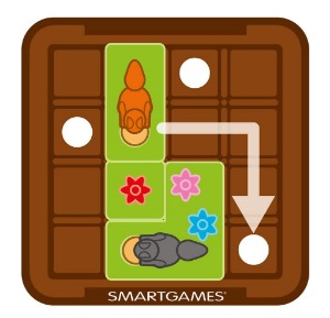 Smart Games - Squirrels Go Nuts!